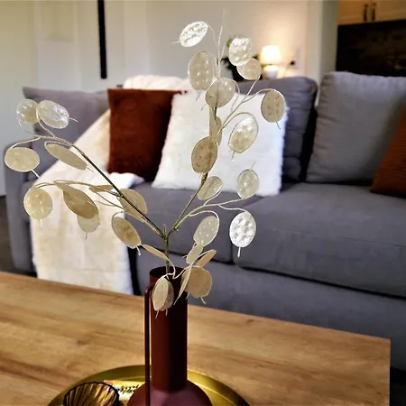 Harzer-perle Mit Dampfdusche #innenstadtnaehe#netflix Von Harztraveler * Bad Harzburg