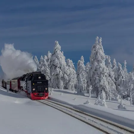 Harzer-perle Mit Dampfdusche #innenstadtnaehe#netflix Von Harztraveler * Bad Harzburg